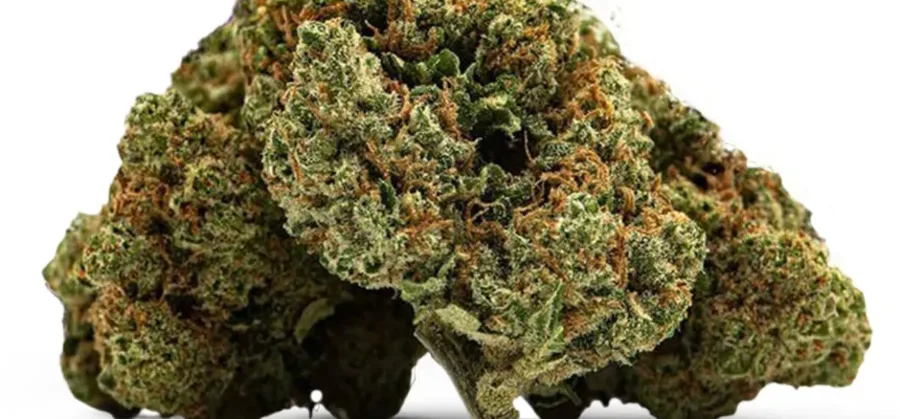 California Haze Nahaufnahme