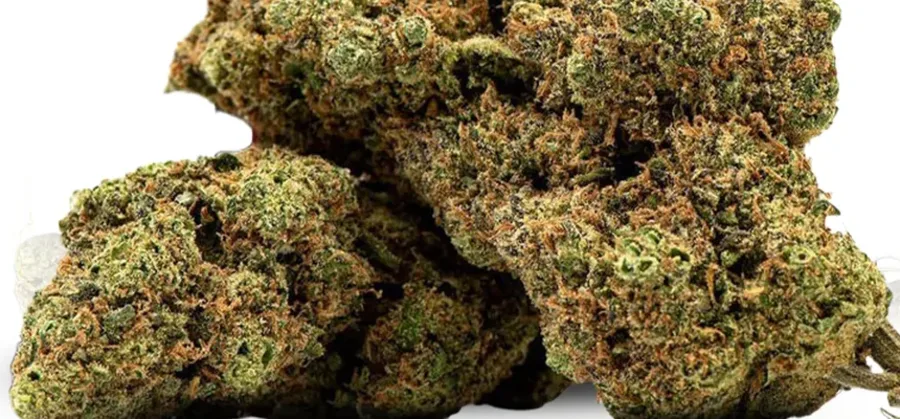 Gelato Nahaufnahme
