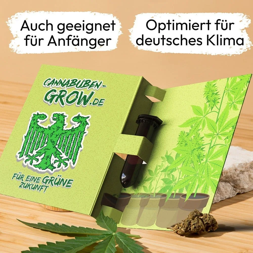 Hawaiian Snow - Cannabuben 4