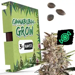 Runtz - Cannabuben - Bild 1