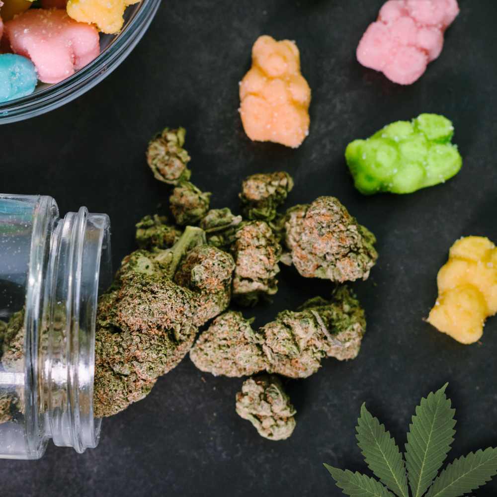 Online Growshops vs. lokale Geschäfte – Wo solltest du dein Grow-Zubehör kaufen?