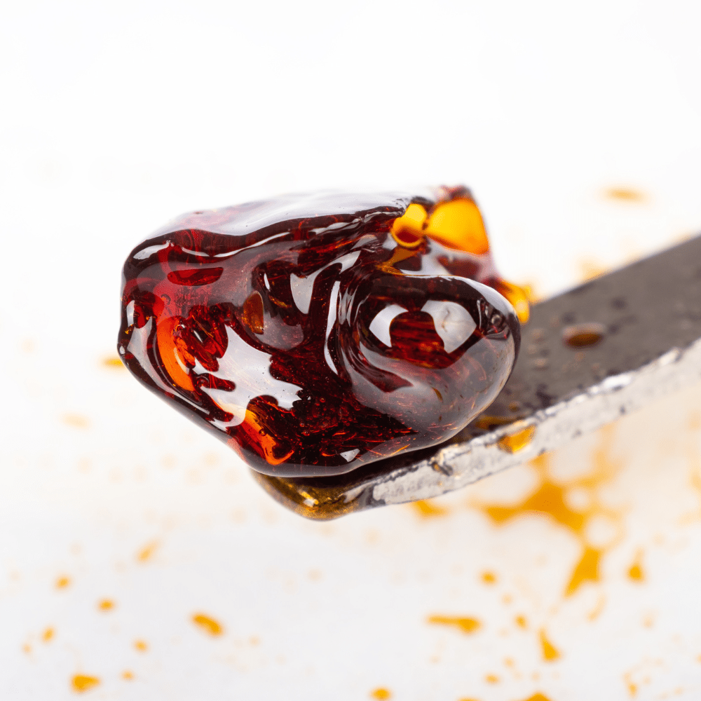 CBD-Extrakt sicher kaufen und richtig lagern – Tipps von Cannabuben für maximale Qualität.