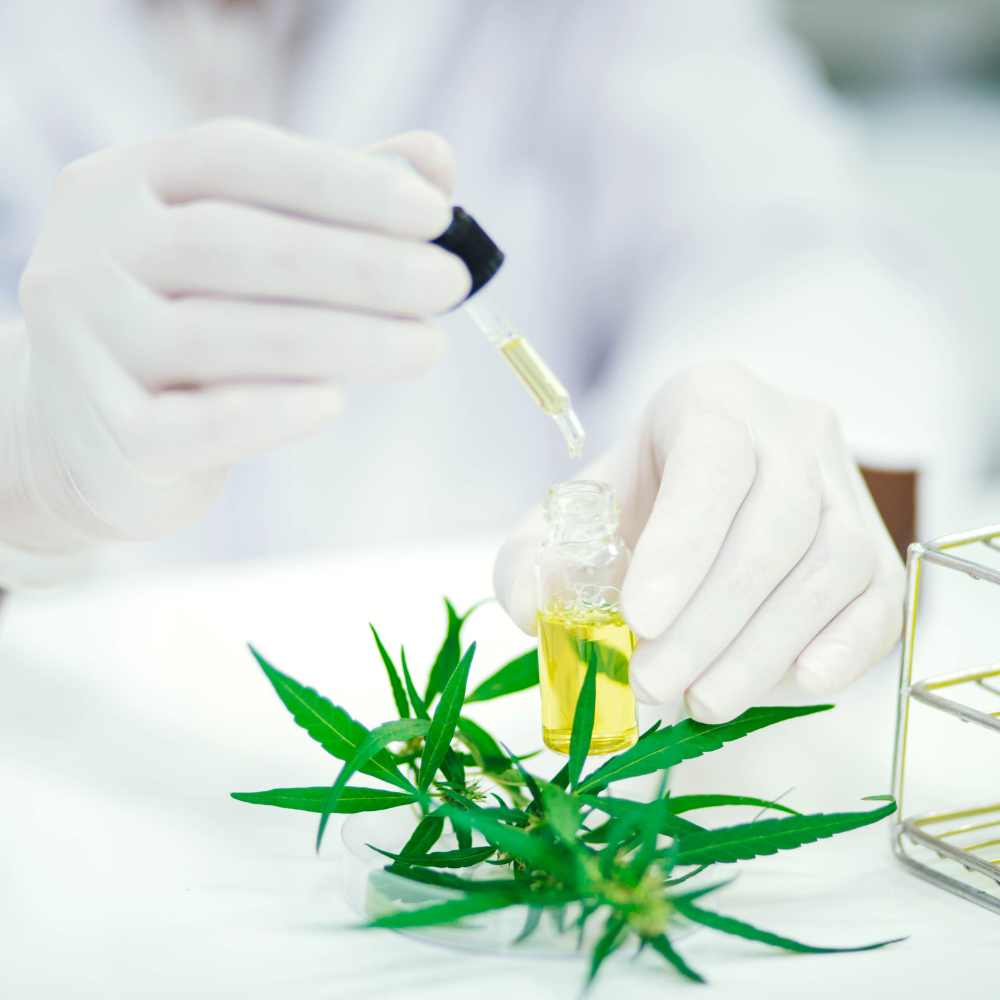 Verschiedene Arten von CBD Extrakt – Full Spectrum, Broad Spectrum und Isolat im Vergleich.