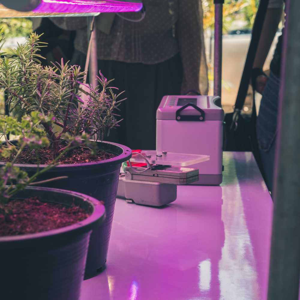 Die richtige Grow Lampe auswählen – Wichtige Faktoren für optimales Pflanzenwachstum