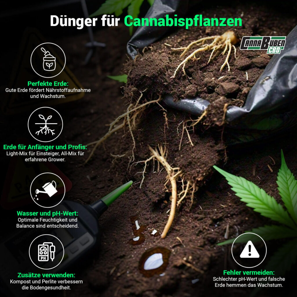 Infografik über Dünger für Cannabispflanzen: Erde, pH-Wert und Zusätze.