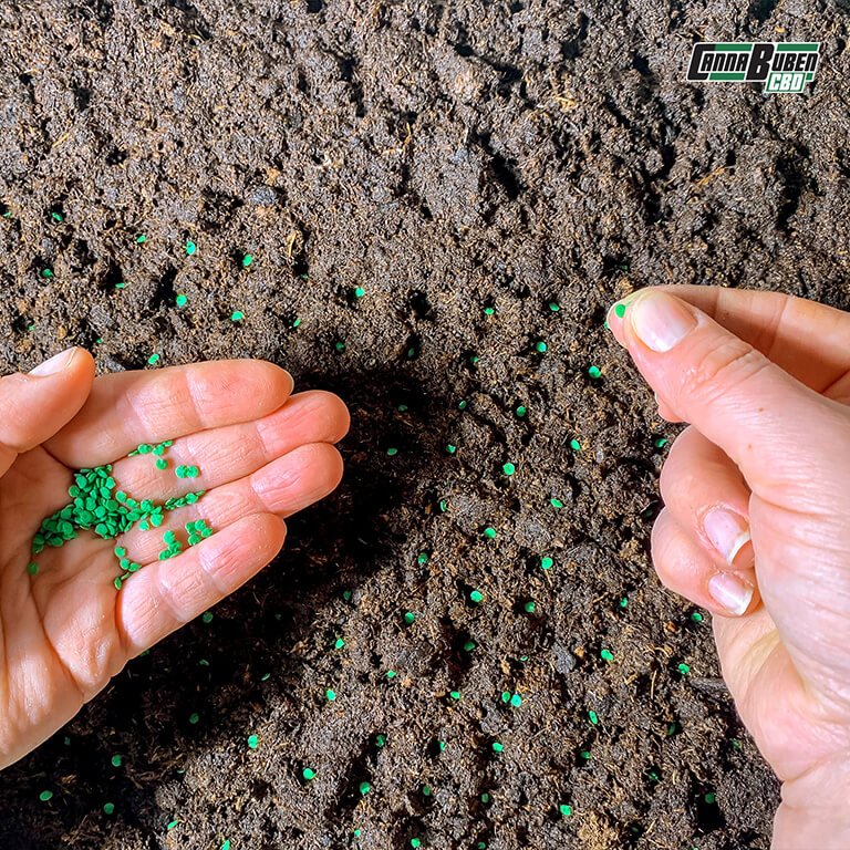 Mineralischer Dünger für Cannabispflanzen in Pulverform.