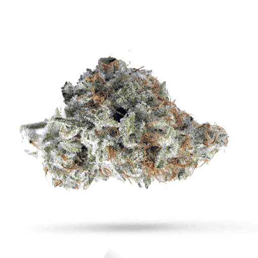 420 Evolution 25/1 CA ICC