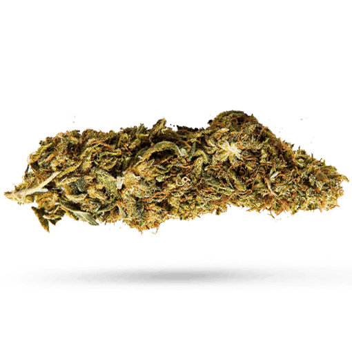 420 Evolution 271 CA ICC