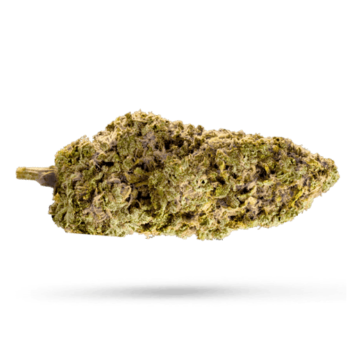 Cannamedical Balanced classic