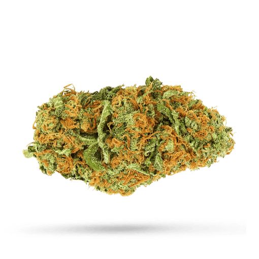 Cannamedical Indica Ultra