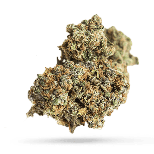 Cannamedical Sativa forte MA