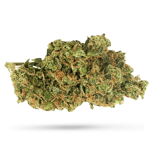 Canopy Bakerstreet 20