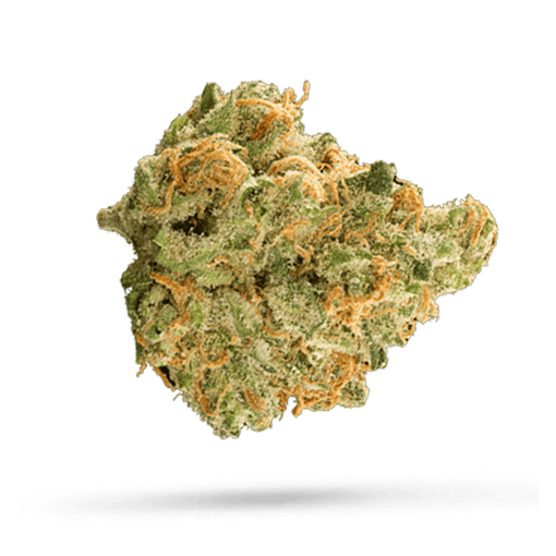 Demecan 2701 Petaluma