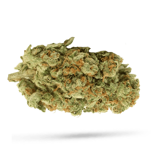 IMC Cannabisblüten THC20 T01