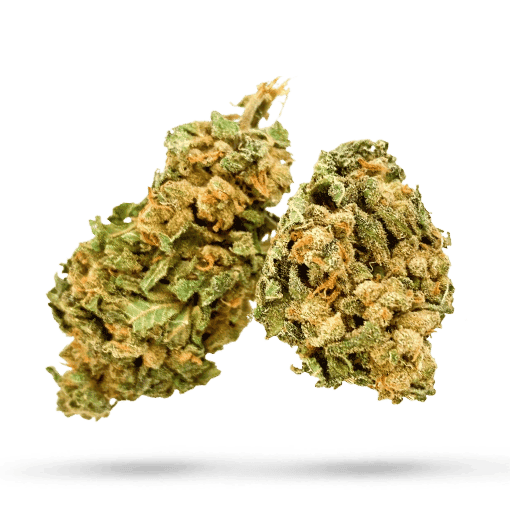 IMC Cannabisblüten THC25 T04