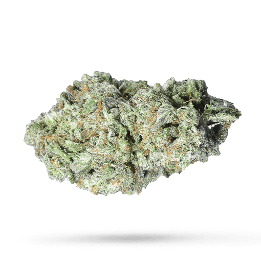 Pedanios 27/1 FRG-CA