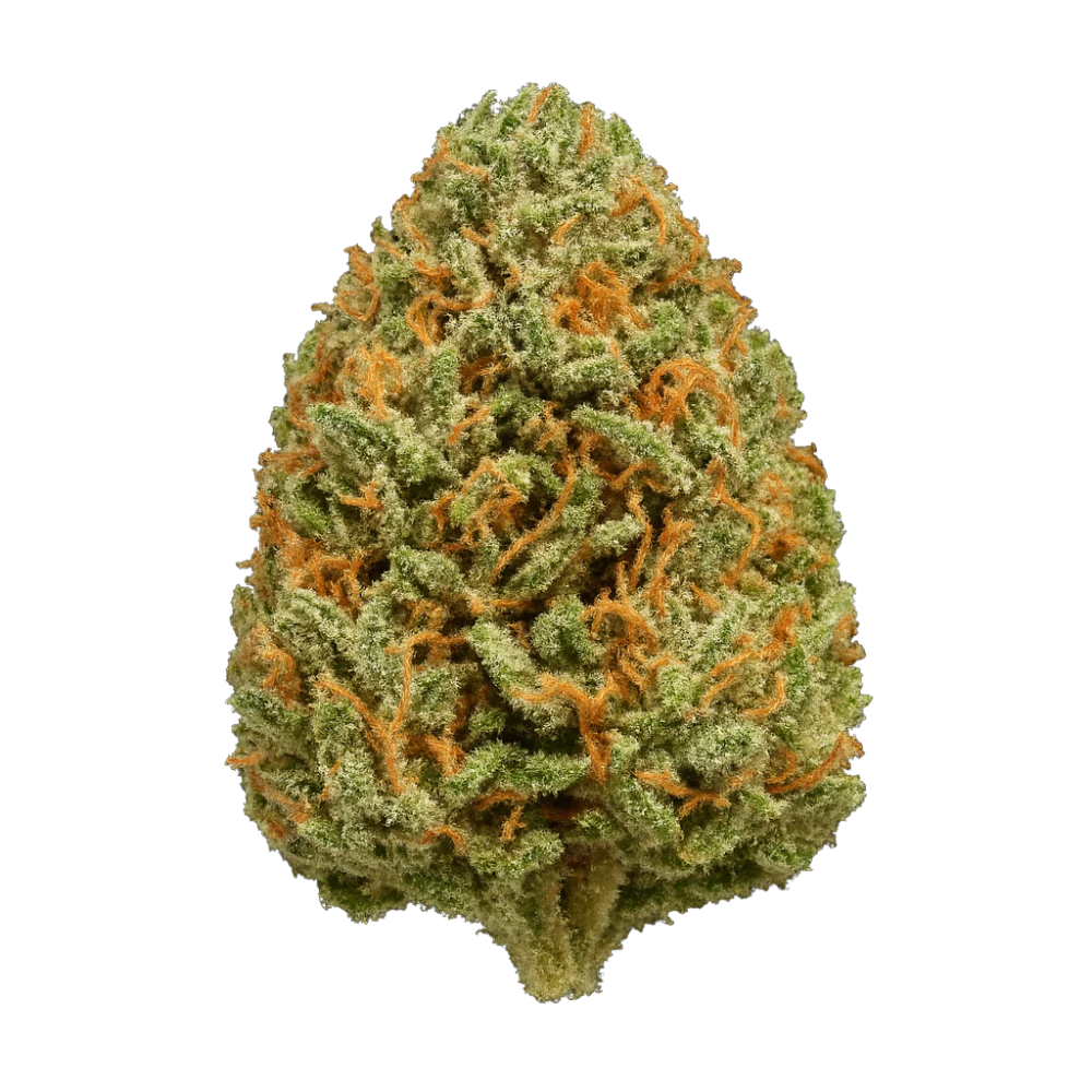 Amnesia Bomb